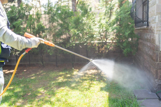 Best Flea Control Services  in Waterloo, NE