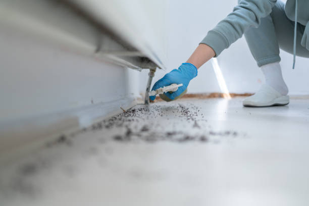 Best Commercial Pest Control Services  in Waterloo, NE